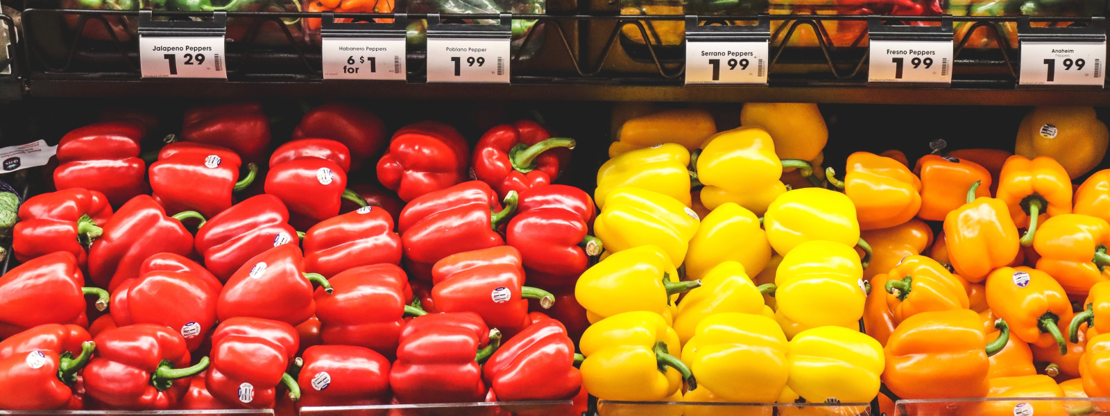 Display Solutions for Retail Businesses